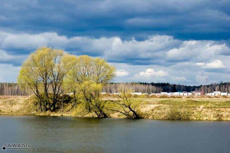 Фото Бронницы