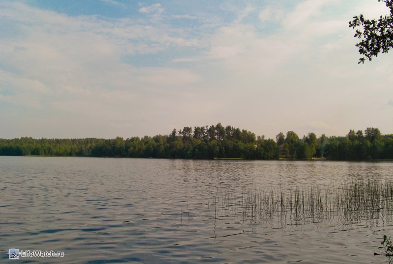 Карелия на машине