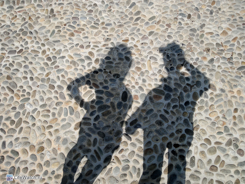 We are
