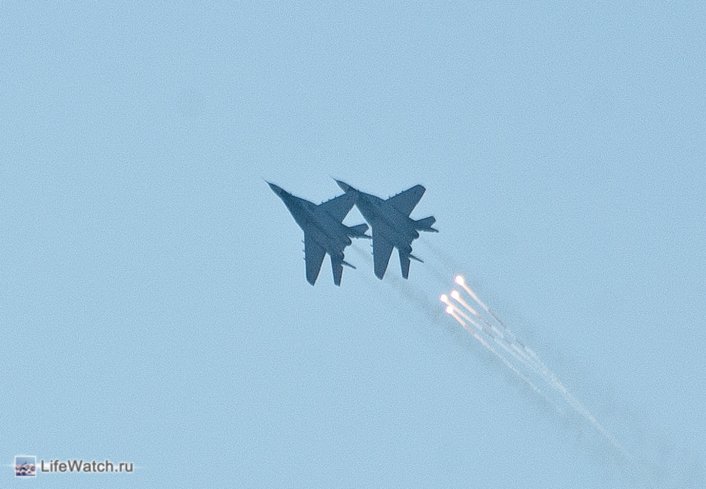 DSC_5988