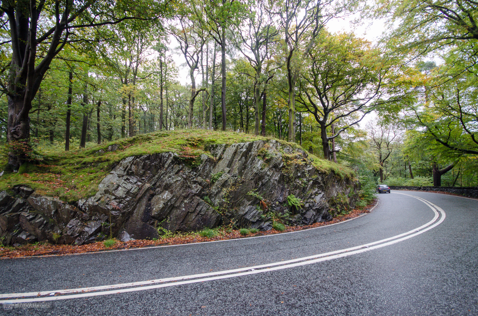Осенний Манчестер и Lake District